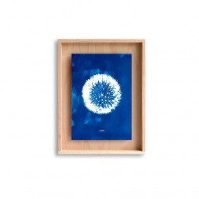 SWAB DESIGN Cyanotype 30x40 | Painting | Agof Store
