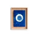 SWAB DESIGN Cyanotype 30x40 | Bild | Agof Store