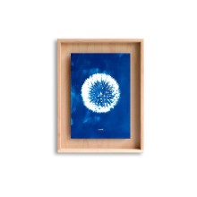 SWAB DESIGN Cyanotype 30x40 | Painting | Agof Store SWAB DESIGN Cyanotype 30x40 | Painting | Agof Store