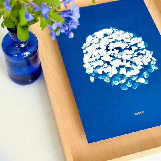SWAB DESIGN Cyanotype 30x40 | Bild | Agof Store