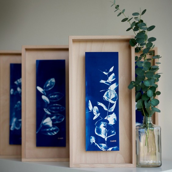 SWAB DESIGN Cyanotype 20x40 | Quadro | Agof Store