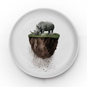 SA13 You are not here Rhino | Piatto Ø24 Cm | Agof Store