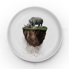 SA13 You are not here Rhino | Ceramic Plate Ø24 Cm | Agof Store SA13 You are not here Rhino | Ceramic Plate Ø24 Cm | Agof Store