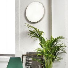 Zava Loola wall ceiling lamp - Agof Store