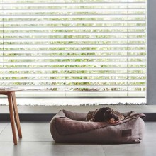 MiaCara Unica dog blanket - Agof Store