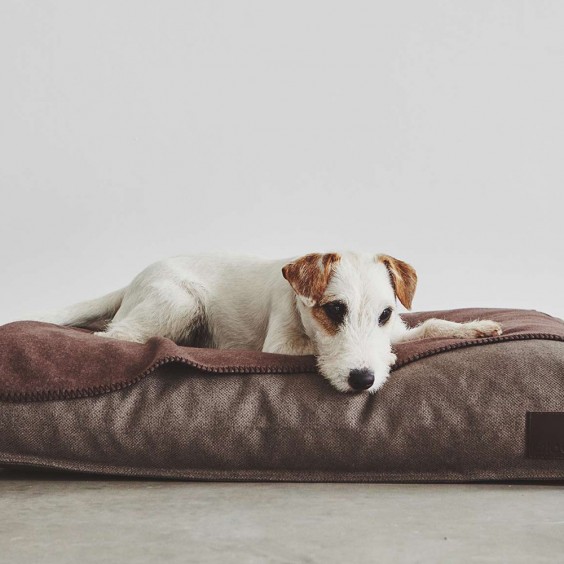 MiaCara Unica dog blanket - Agof Store