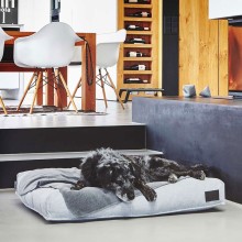 MiaCara Unica dog blanket - Agof Store