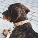 MiaCara Bergamo dog collar - Agof Store