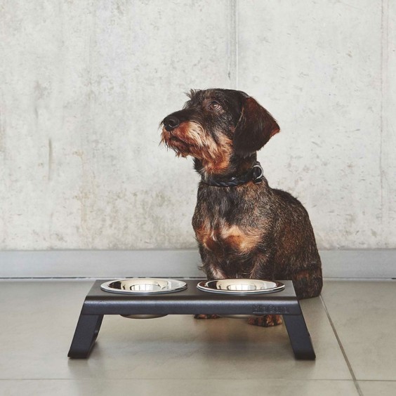 MiaCara Desco bowl set - Agof Store