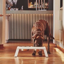 Desco set ciotole MiaCara - Agof Store