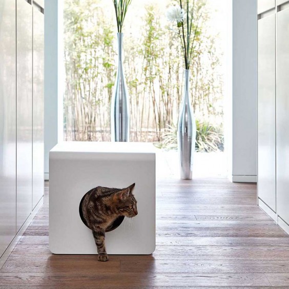 MiaCara Sito litter - Agof Store