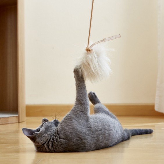 MiaCara Topo cat toy - Agof Store