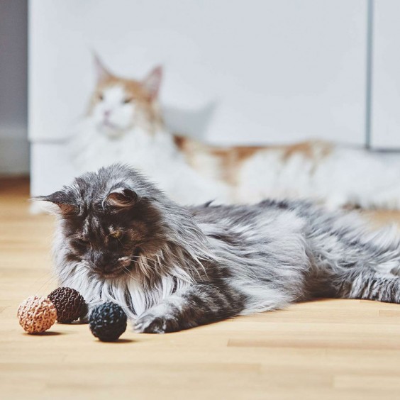 MiaCara Filo cat toy - Agof Store