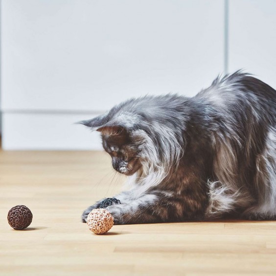 MiaCara Filo cat toy - Agof Store
