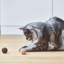 MiaCara Filo cat toy - Agof Store MiaCara Filo cat toy - Agof Store