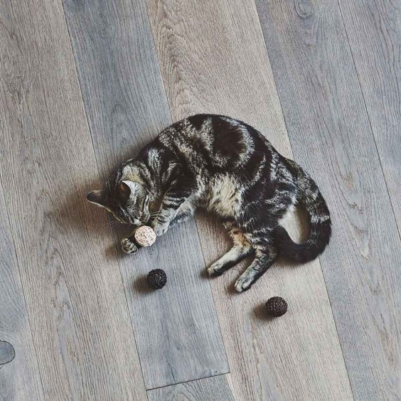 MiaCara Filo cat toy - Agof Store