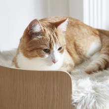 MiaCara Torre scratching post - Agof Store