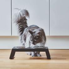 Desco set ciotole MiaCara - Agof Store