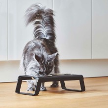 Desco set ciotole MiaCara - Agof Store