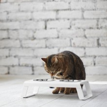 Desco set ciotole MiaCara - Agof Store