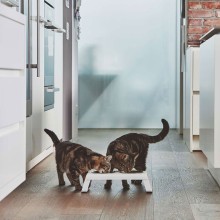 MiaCara Desco Schüssel set - Agof Store