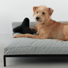 MiaCara Quattro dog toy - Agof Store