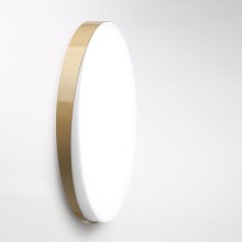 Zava Loola wall ceiling lamp - Agof Store