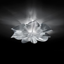 Slamp Étoile Wand- Deckenleuchte - Agof Store